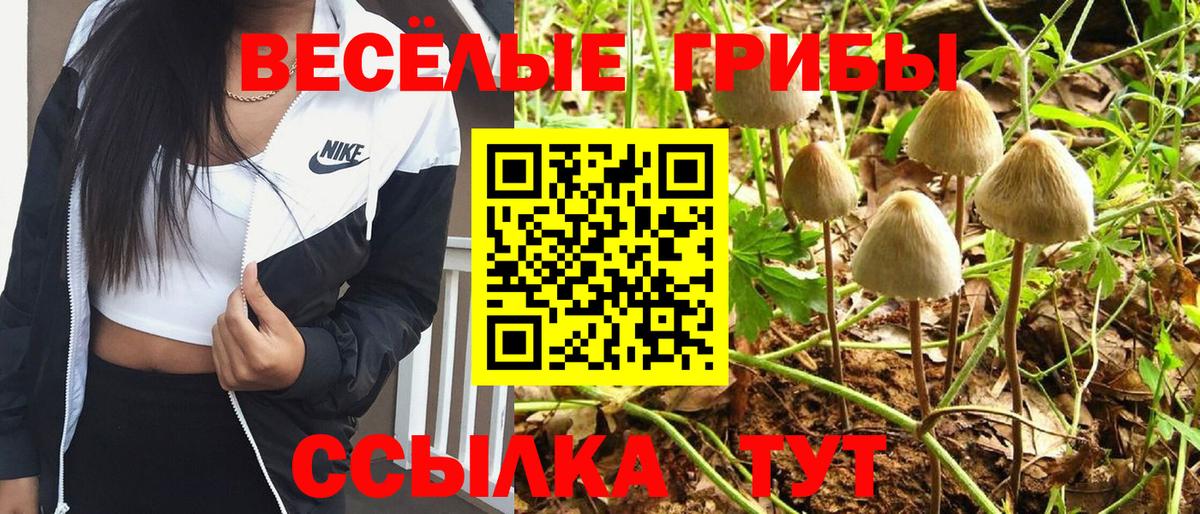 Псилоцибиновые грибы GOLDEN TEACHER Пенза